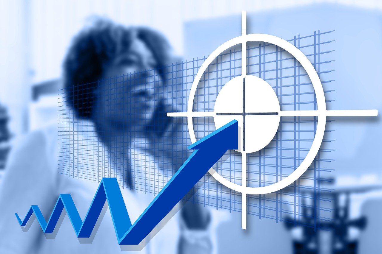 businesswoman, target market, success, woman, business, career, profession, manager, professional, management, finance, target market, target market, target market, target market, target market